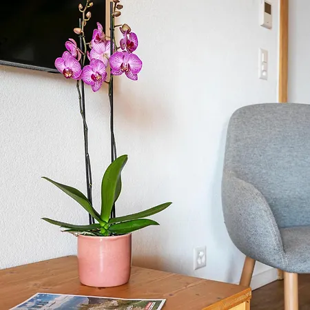 T-resort 4p8 By Interhome La Tzoumaz