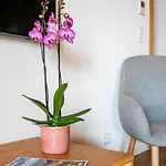 T-resort 4p8 By Interhome La Tzoumaz